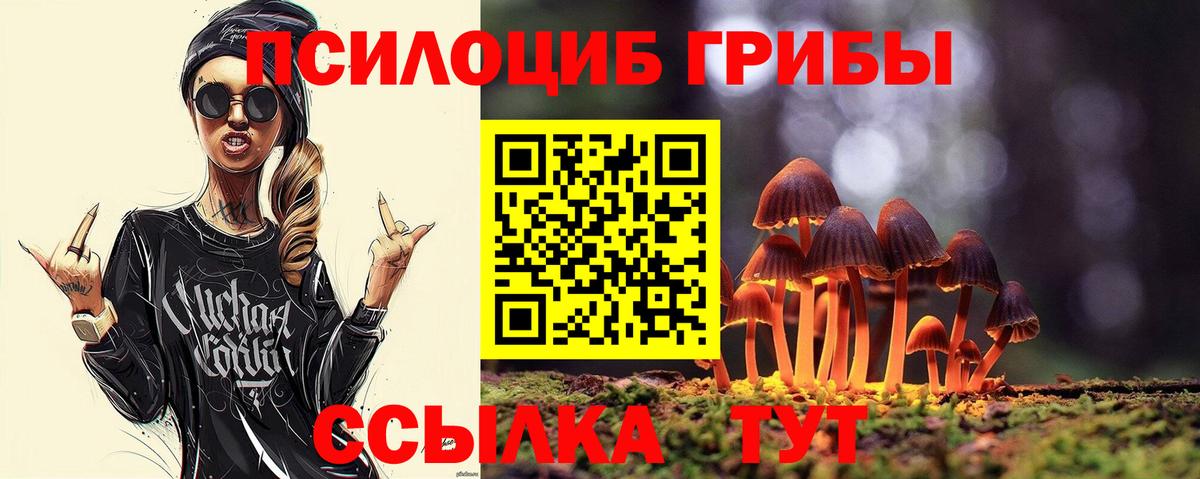 Галлюциногенные грибы Psilocybe Бахчисарай