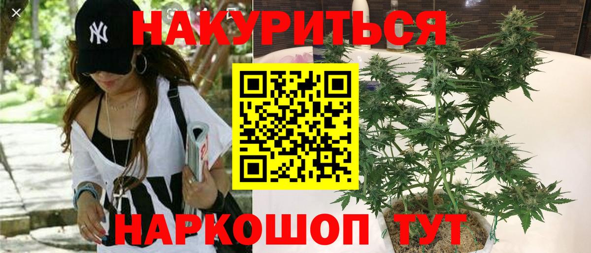 Бошки Шишки White Widow  Шишки марихуана MAZAR  Вход с VPN  Бошки Шишки White Widow  Бахчисарай 